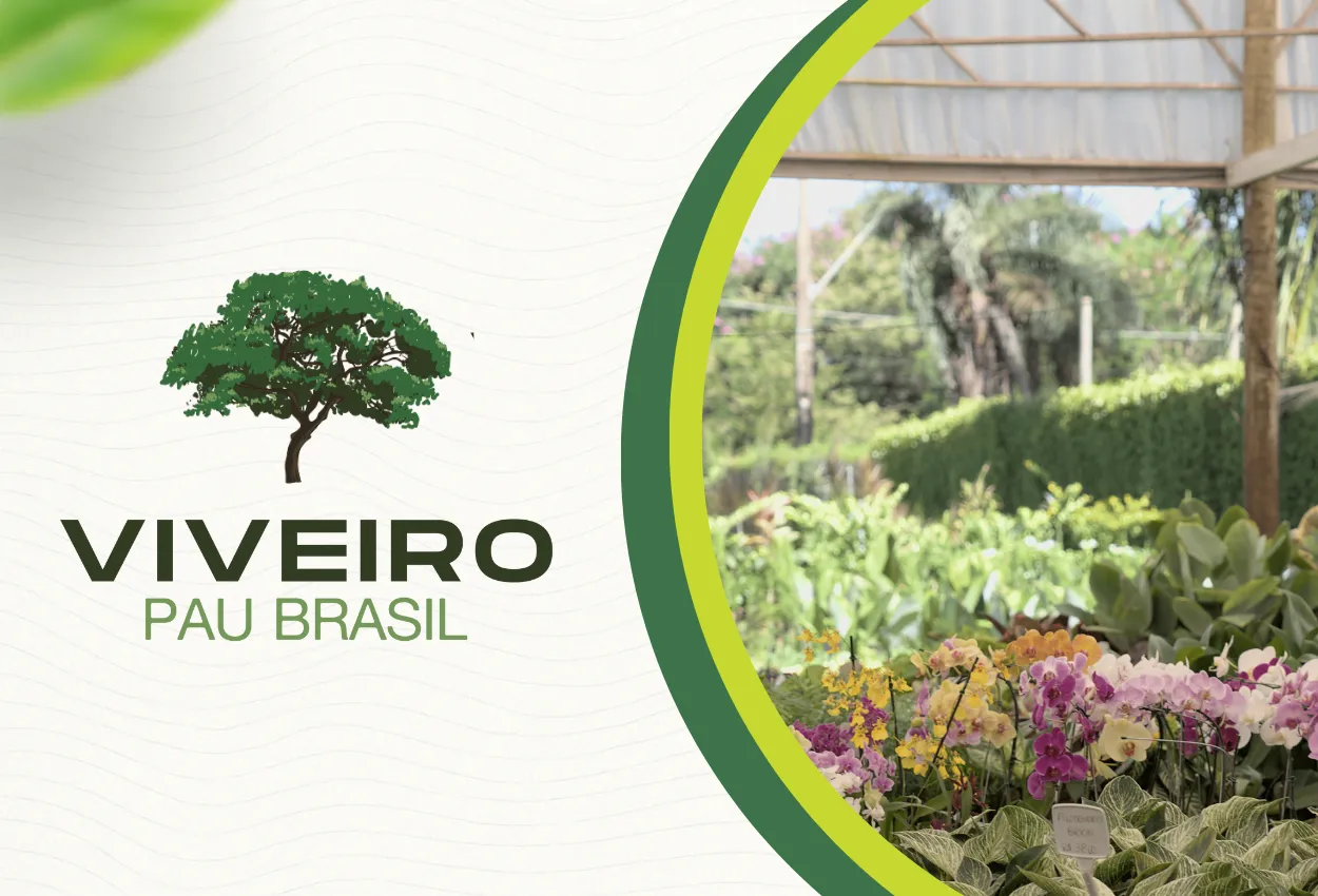 Antes e depois de um jardim transformado com paisagismo do Viveiro Pau Brasil