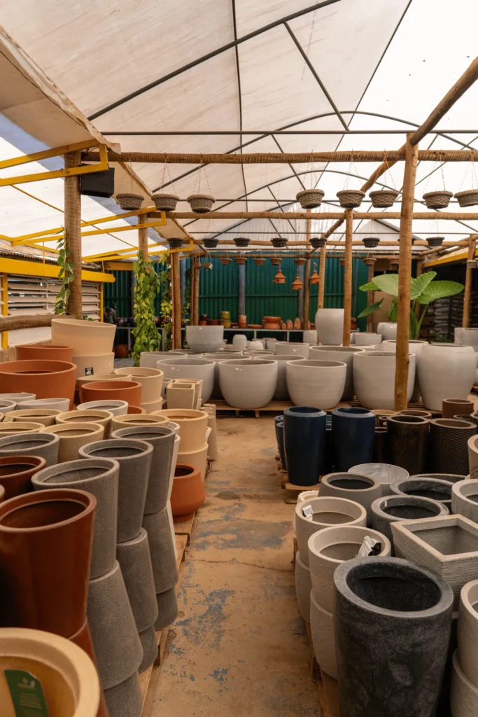 Viveiro Pau Brasil com plantas, mudas e paisagismo em Brasília