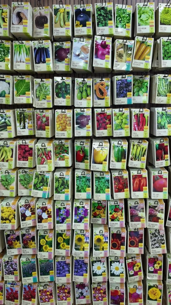 Viveiro Pau Brasil com plantas, mudas e paisagismo em Brasília