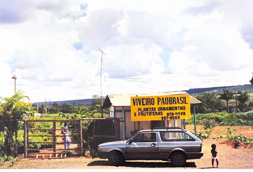 Fachada do Viveiro Pau Brasil com plantas ornamentais e estrutura organizada