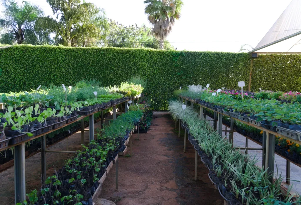 Fachada do Viveiro Pau Brasil com plantas ornamentais e estrutura organizada