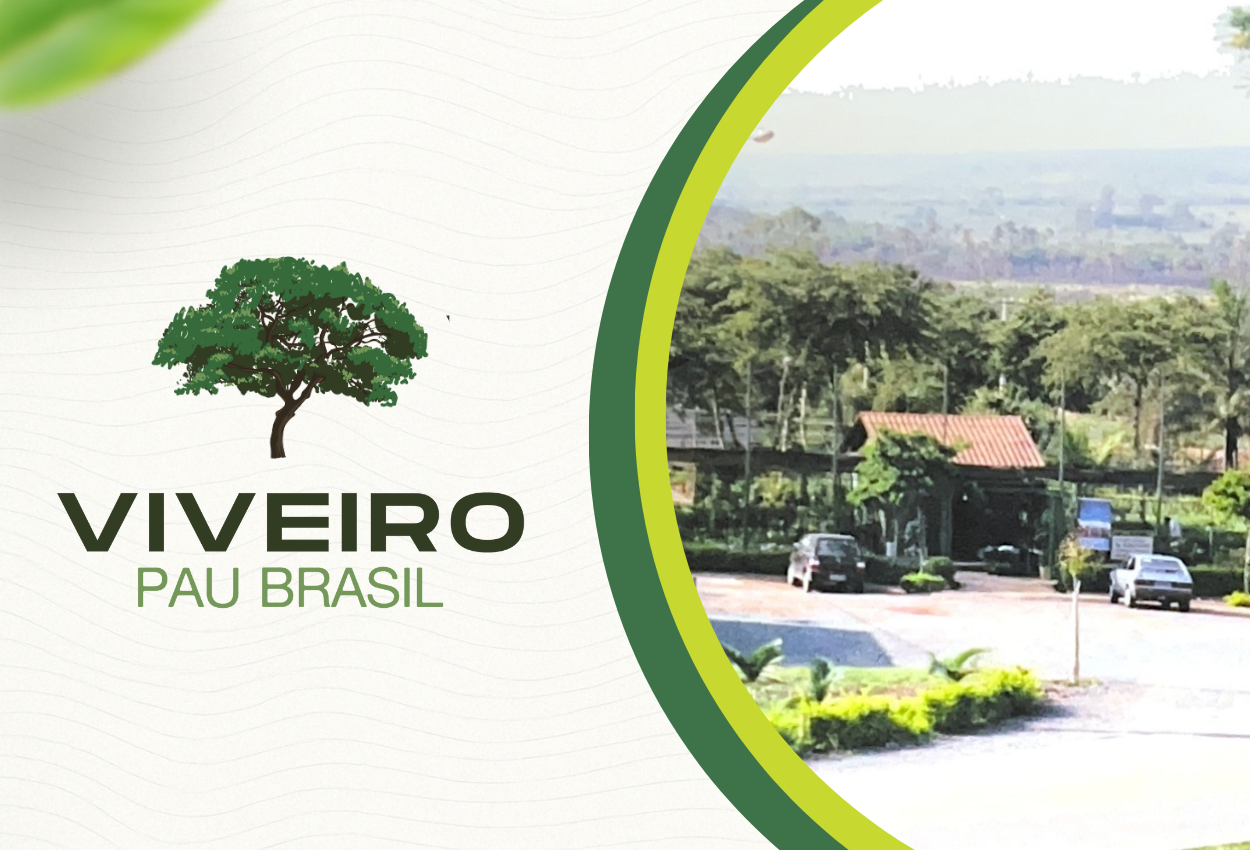 Fachada do Viveiro Pau Brasil com plantas ornamentais e estrutura organizada