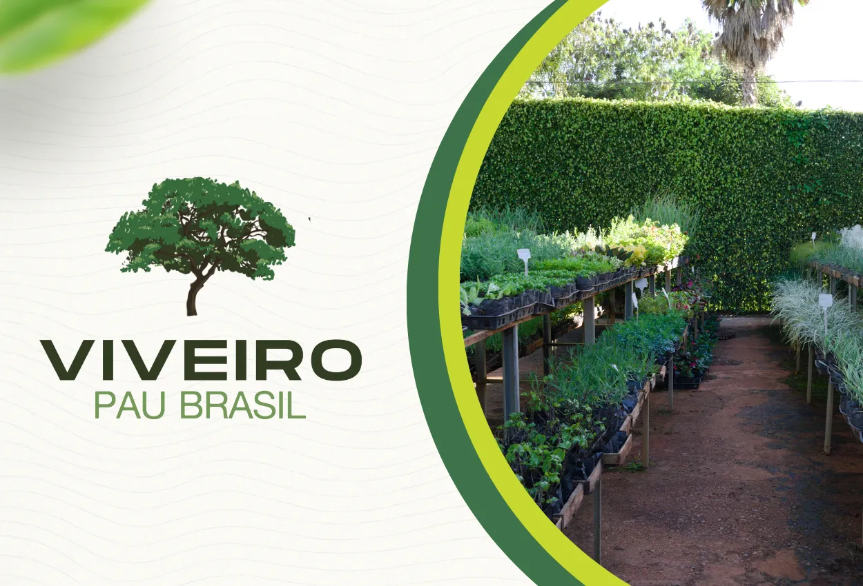Cliente sendo atendido no Viveiro Pau Brasil com orientação técnica sobre plantas ornamentais