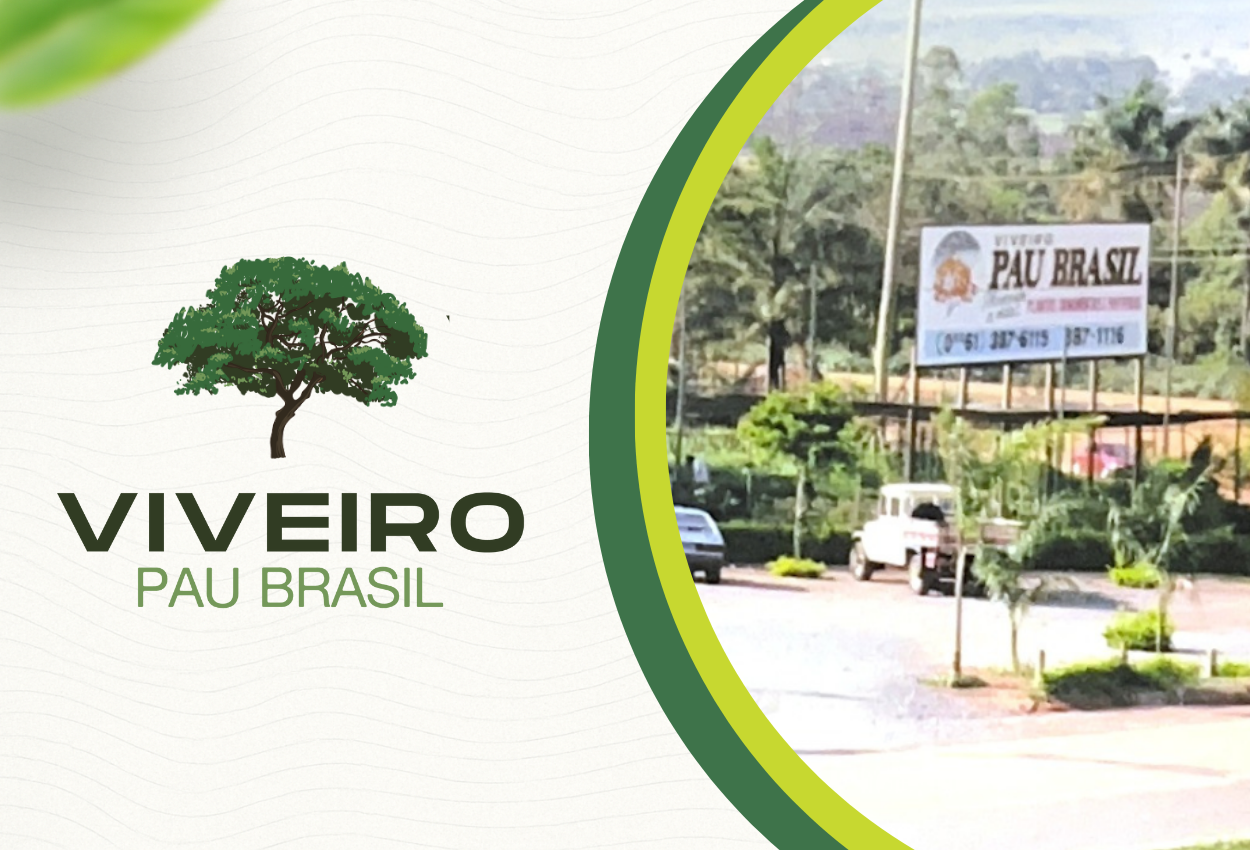 Imagem representando paisagismo em brasilia em contexto real