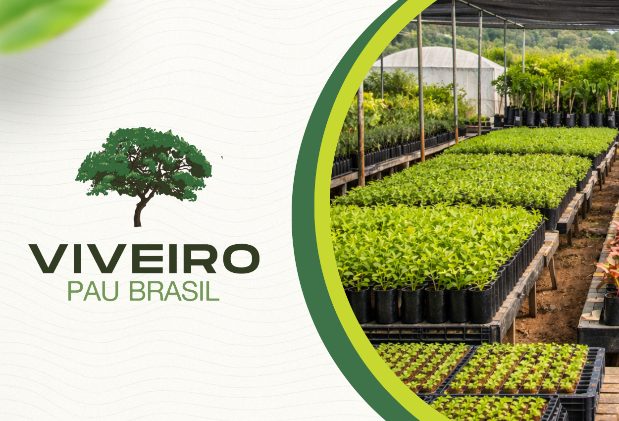 viveiro de plantas profissional do Viveiro Pau Brasil com produção técnica de mudas para cultivo e paisagismo