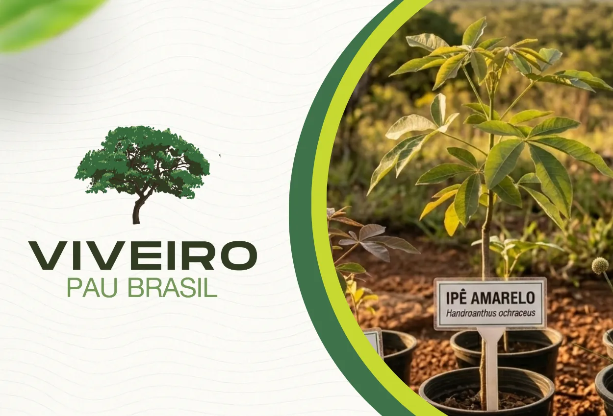 Plantas Nativas do Cerrado em Brasília cultivadas em viveiro especializado no Distrito Federal