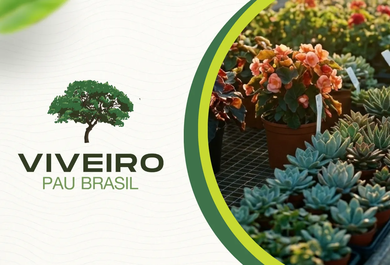 Plantas para paisagismo em Brasília em viveiro profissional no Distrito Federal