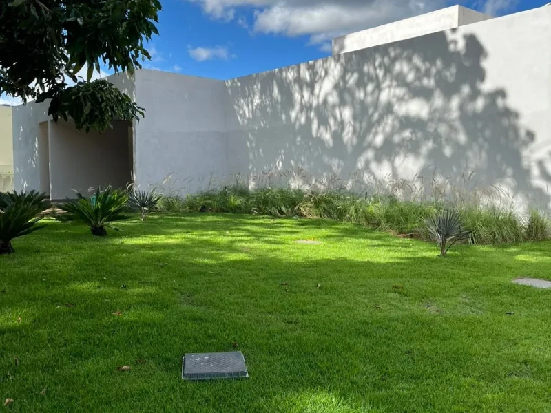 Viveiro Pau Brasil com plantas, mudas e paisagismo em Brasília