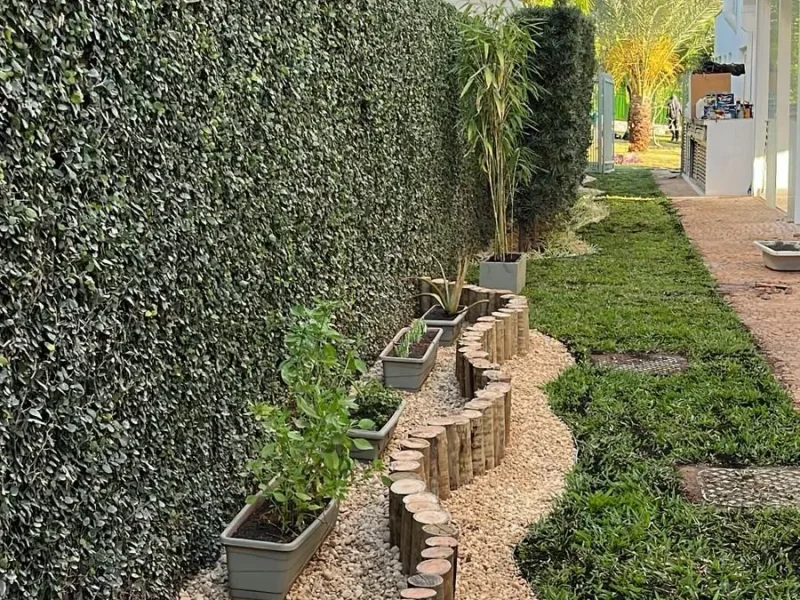 Viveiro Pau Brasil com plantas, mudas e paisagismo em Brasília