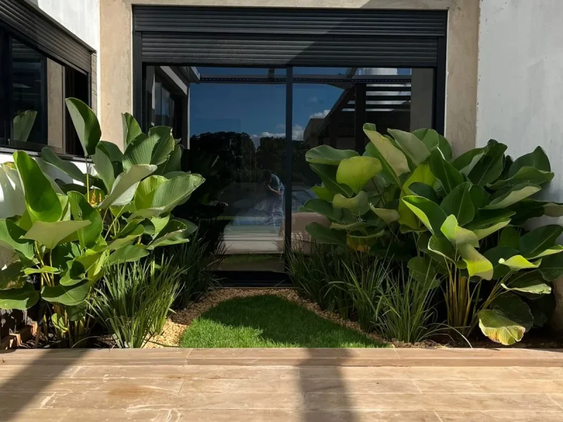 Viveiro Pau Brasil com plantas, mudas e paisagismo em Brasília