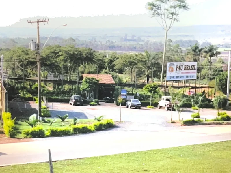 Viveiro Pau Brasil com plantas, mudas e paisagismo em Brasília